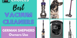 Best Vacuum Cleaner GSD Owners Use