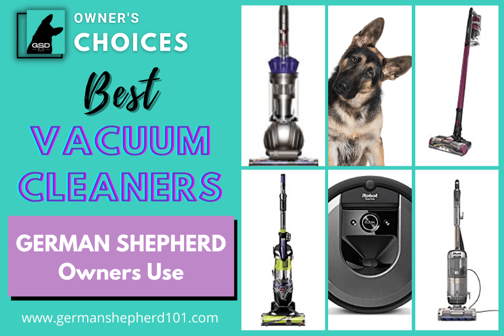 Best Vacuum Cleaner GSD Owners Use