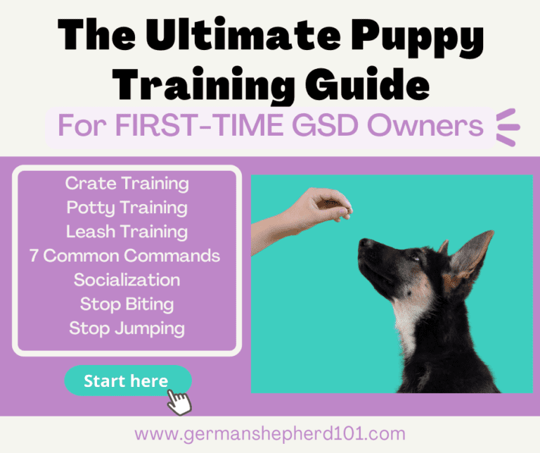 The Ultimate Puppy Training Guide for FirstTime GSD Owners · German