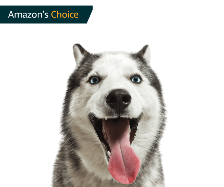 Best Dog Food for German Shepherds with Sensitive Stomach German