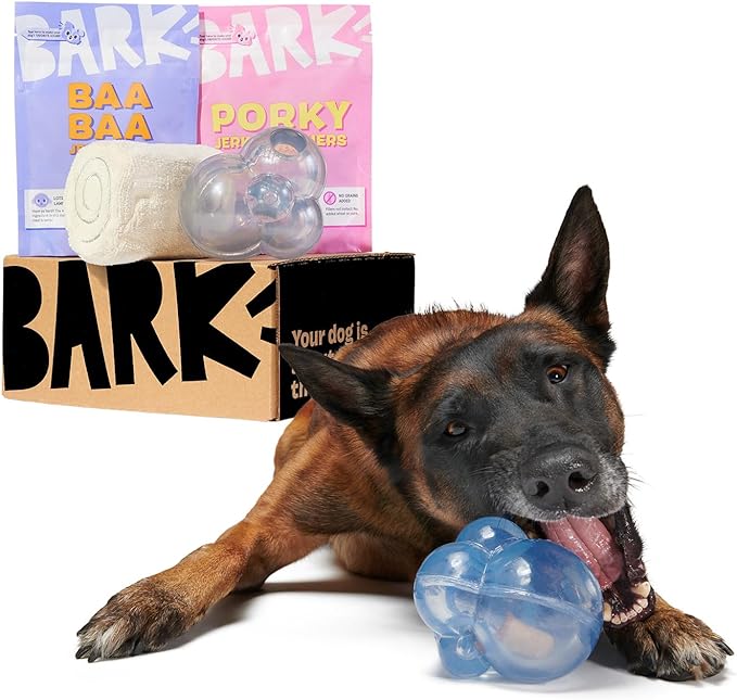 Best Chew Toys for German Shepherd Puppies German Shepherd 101