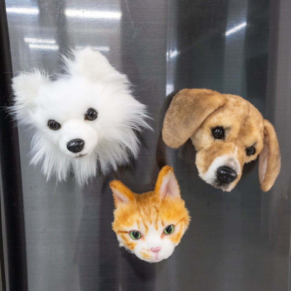 Cuddle Clones Custom Pet Magnets