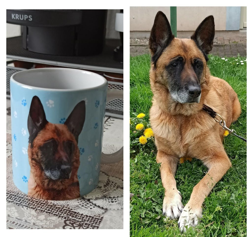 Cuddle Clones Custom Pet Art Ceramic Mug