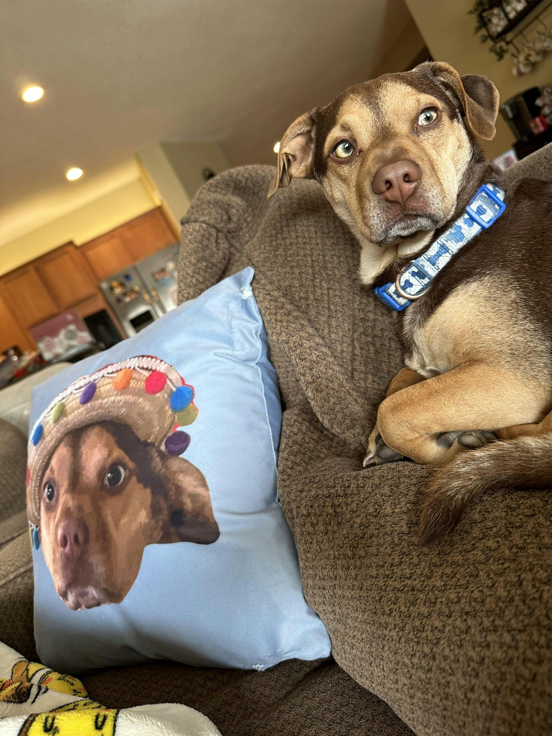 CuddleClones Custom Pet Art Pillow