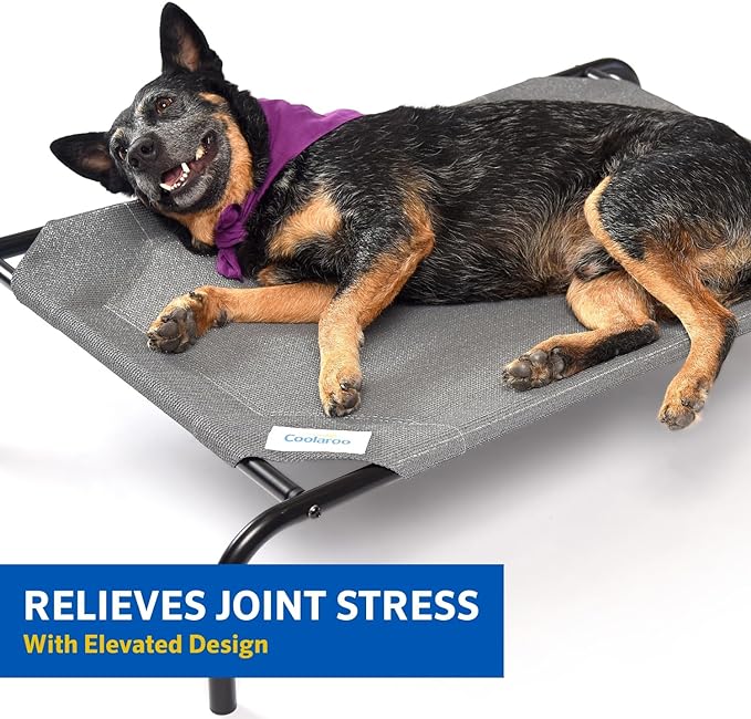 Coolaroo The Original Cooling Elevated Dog Bed
